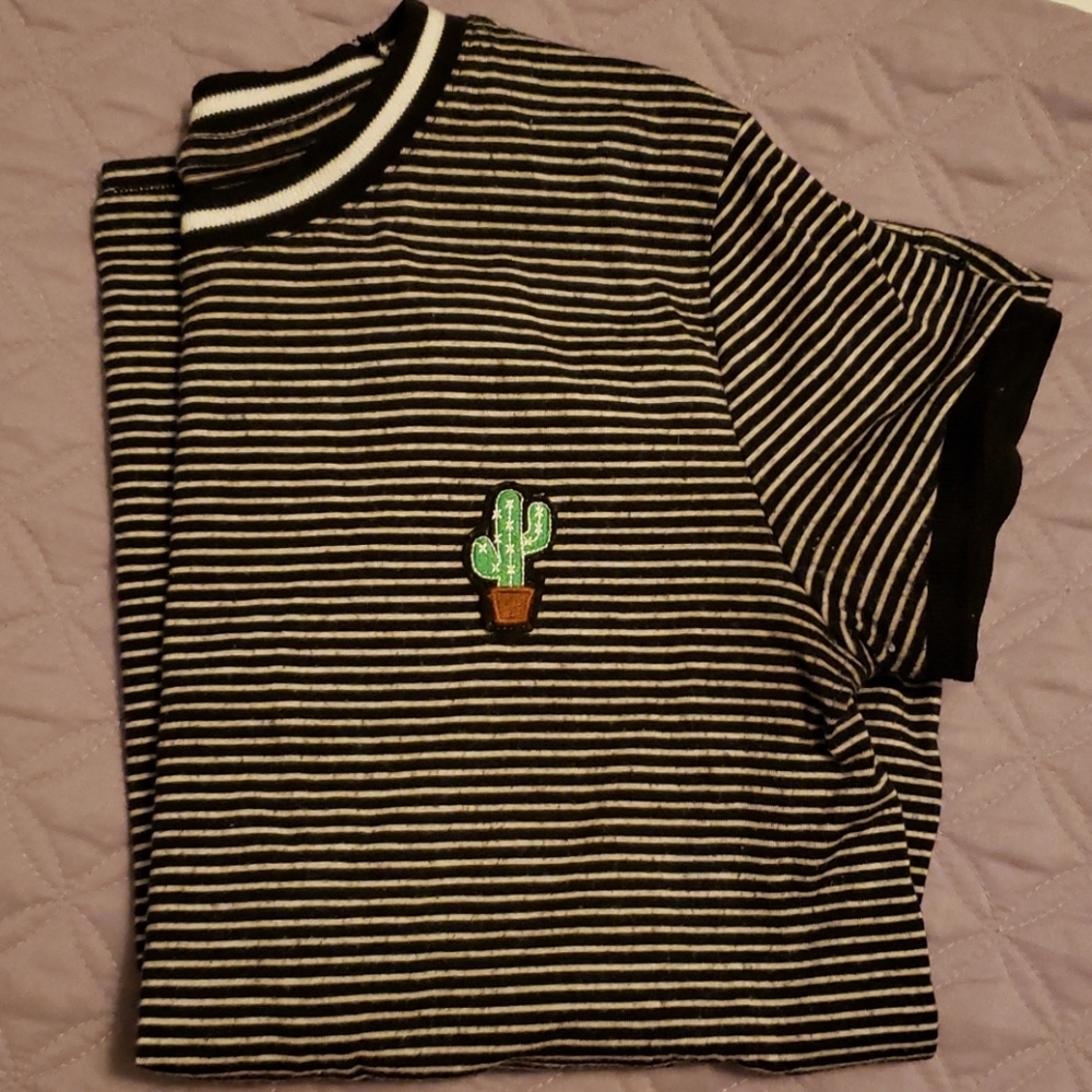 Cactus top